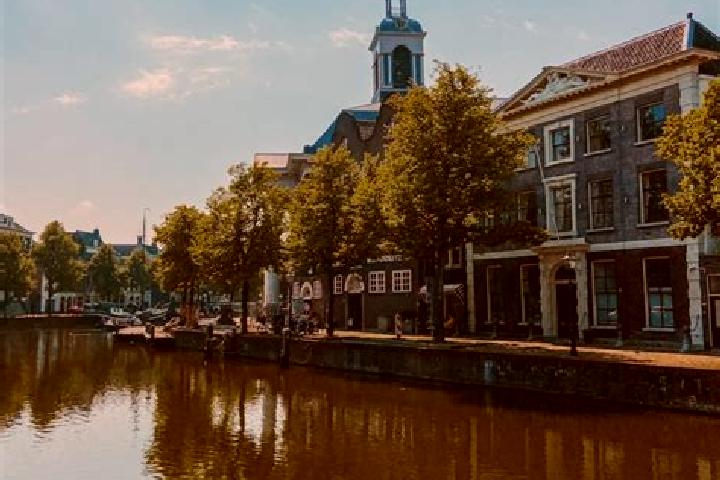 Quinn, 21 — Escort in Schiedam, Netherlands