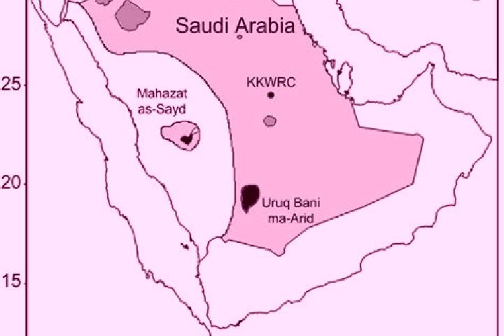 Quinn, 21 — Escort in Sidi as Sayd, Libya