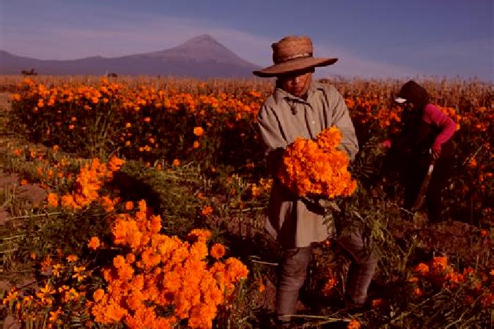Quinn, 21 — Escort in Tepetzingo, Mexico