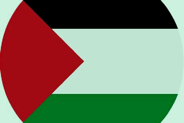 Quinn, 21 — Escort in Yasid, Palestine