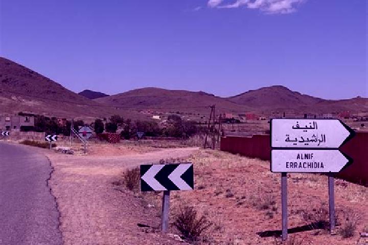 Quinn, 22 — Escort in Alnif, Morocco