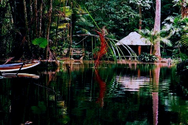 Quinn, 22 — Escort in Lago dos Rodrigues, Brazil