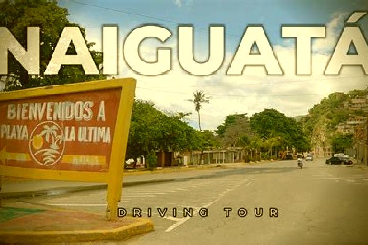 Quinn, 22 — Escort in Naiguata, Venezuela