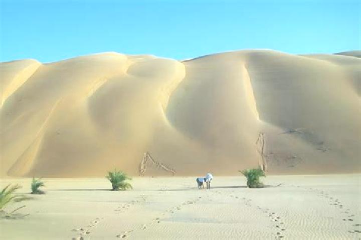 Quinn, 22 — Escort in Ouad Naga, Mauritania