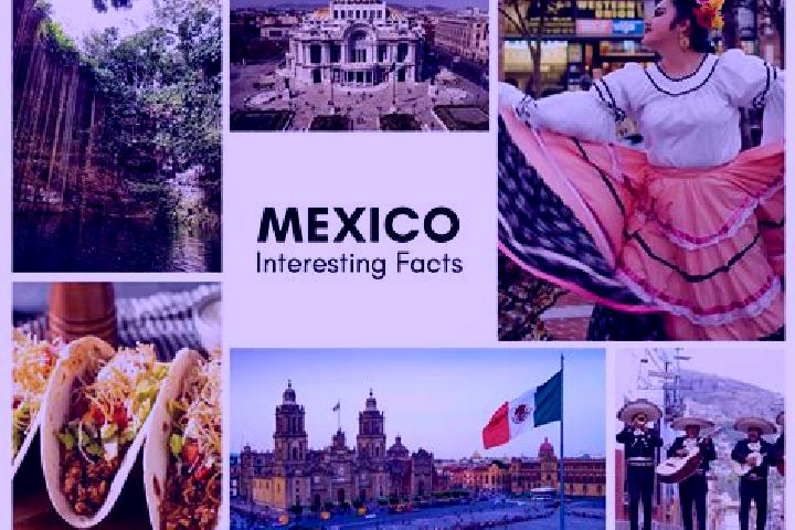 Quinn, 22 — Escort in Velardena, Mexico