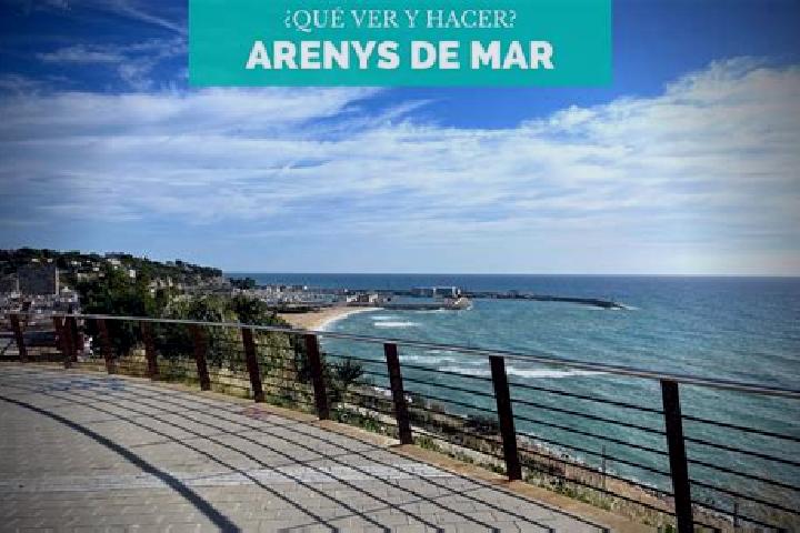 Quinn, 23 — Escort in Arenys de Mar, Spain