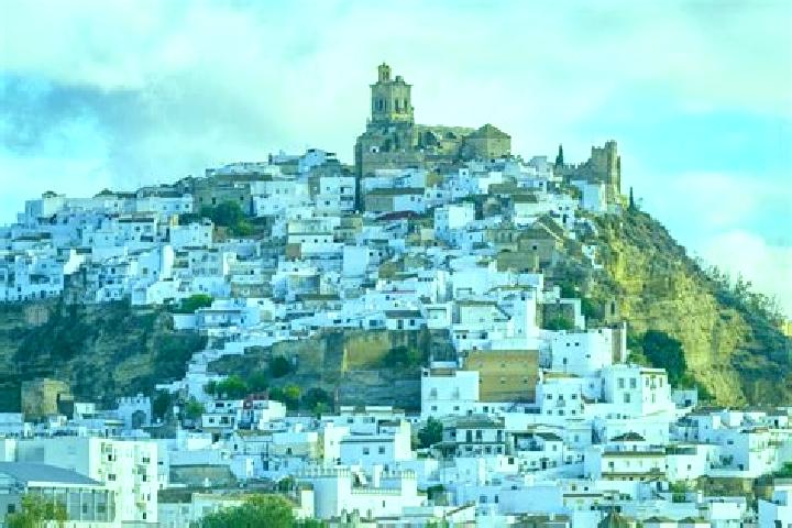 Quinn, 23 — Escort in Blancos, Spain