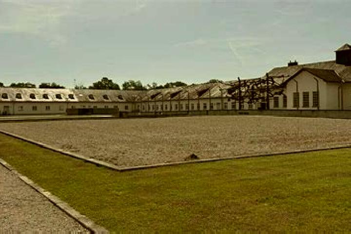 Quinn, 23 — Escort in Dachau, Germany