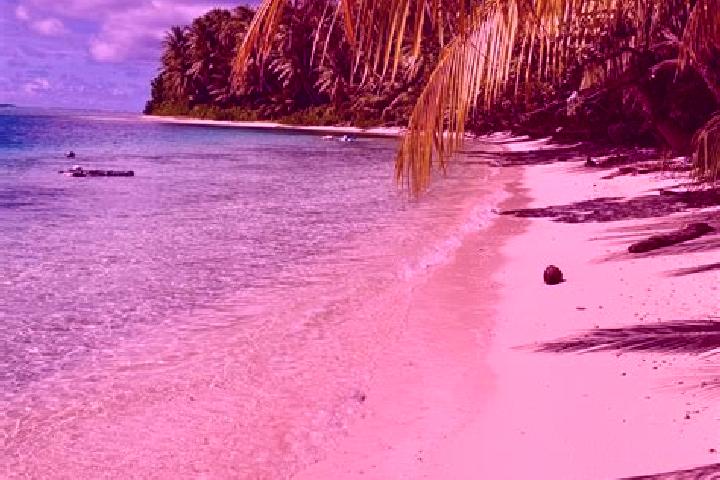 Quinn, 23 — Escort in Elato, Micronesia
