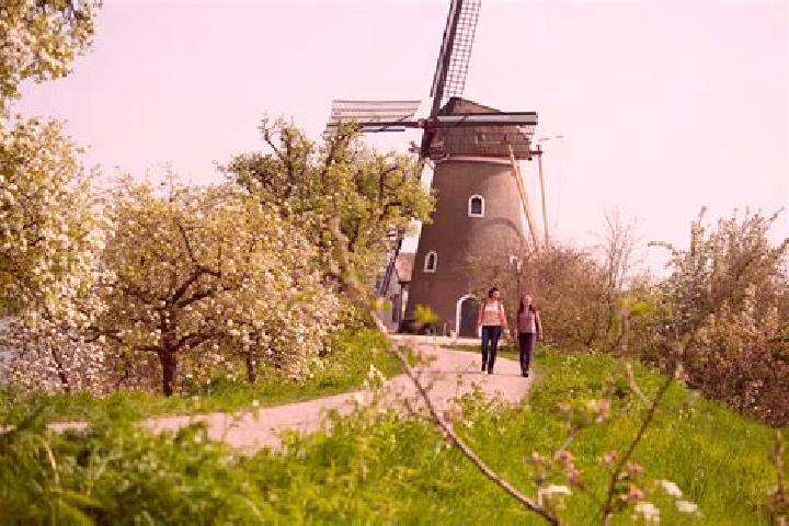 Quinn, 23 — Escort in Nederwoud, Netherlands