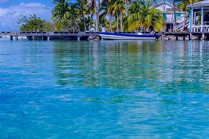 Quinn, 23 — Escort in Western Paradise, Belize