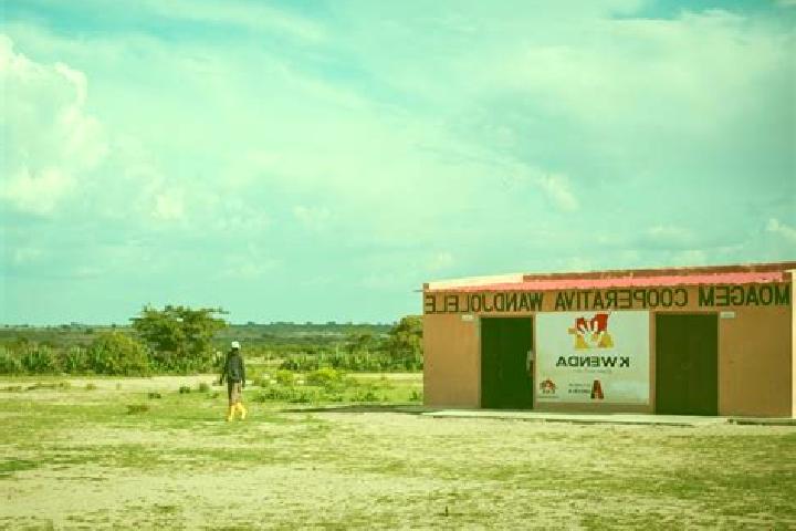 Quinn, 24 — Escort in Capunda Cavilongo, Angola
