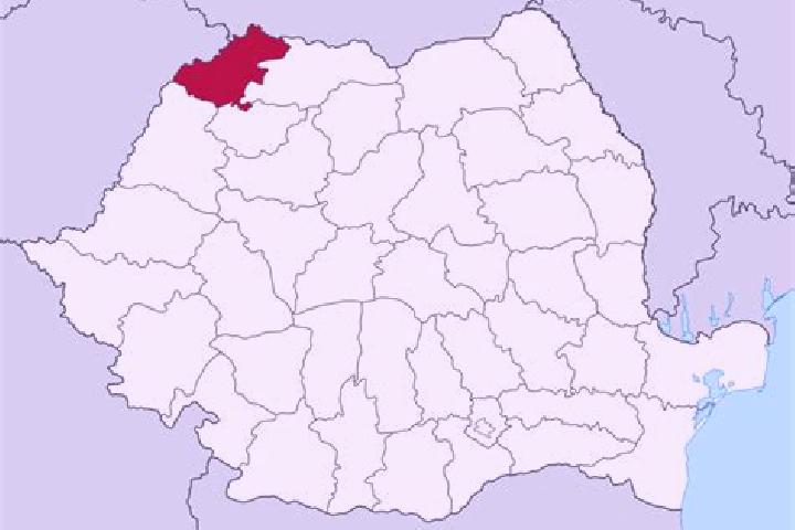 Quinn, 24 — Escort in Cergau Mare, Romania