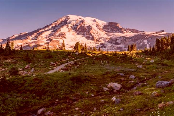 Quinn, 24 — Escort in Mount Victory, United States