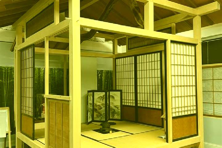 Quinn, 24 — Escort in Tadotsu, Japan