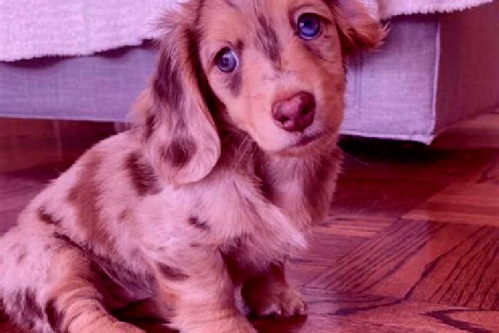 Quinn, 25, a chestnut blue-eyed mixed companion based in Hostivar. Offering Dinner Date, Overnight. Available for incall and outcall, overnight bookings avai...