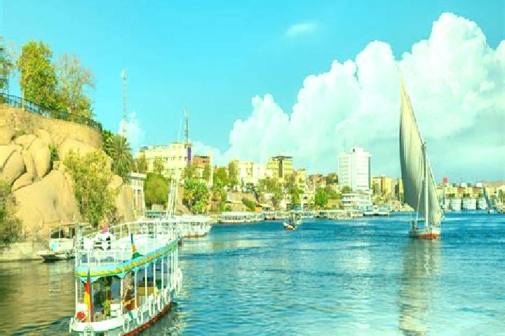 Quinn, 25 — Escort in Bani Ubayd, Egypt