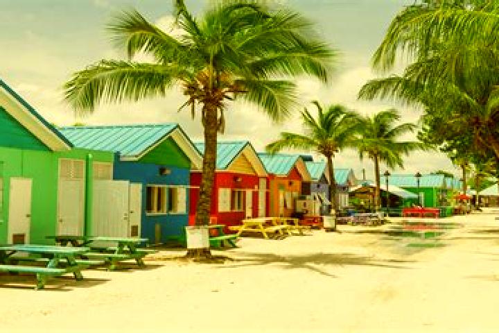 Quinn, 25 — Escort in Blackmans, Barbados