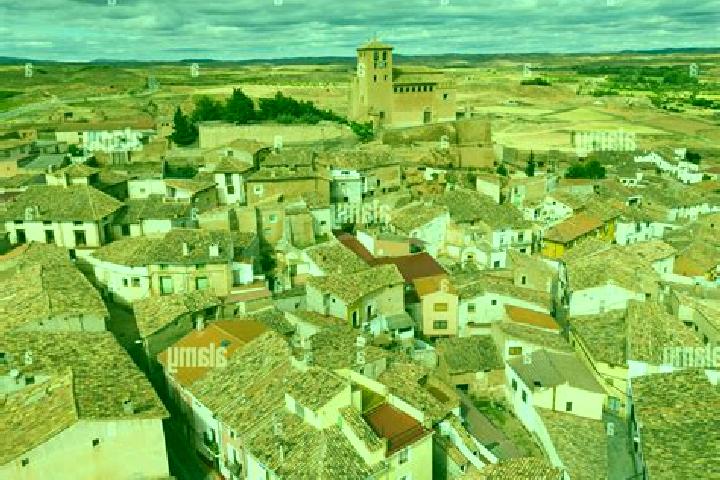 Quinn, 25 — Escort in Cervera de la Canada, Spain