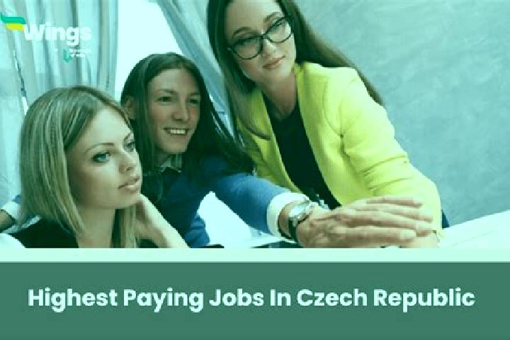 Quinn, 25 — Escort in Chocenice, Czech Republic