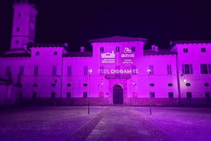 Quinn, 25 — Escort in Sulbiate, Italy