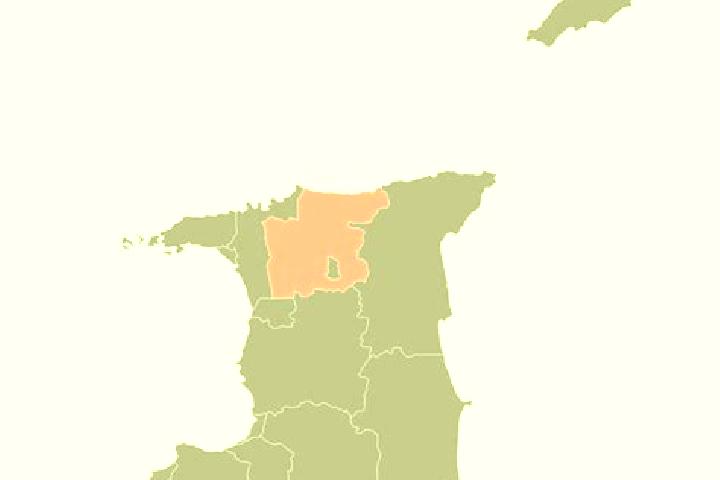 Quinn, 25 — Escort in Tabaquite, Trinidad and Tobago