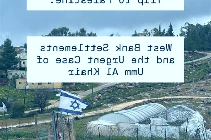 Quinn, 25 — Escort in Umm Salmunah, Palestine