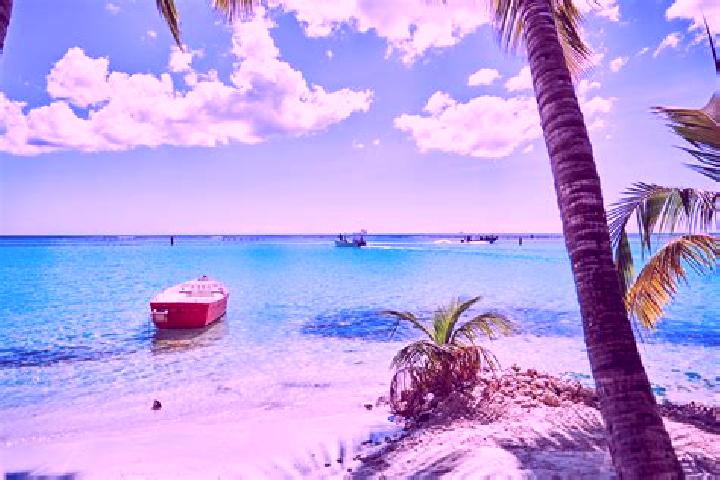 Quinn, 26, a red dark-eyed caribbean companion based in Bajos de Santo Domingo. Offering OWO, Roleplay, Domination. Available for incall and outcall, overnig...