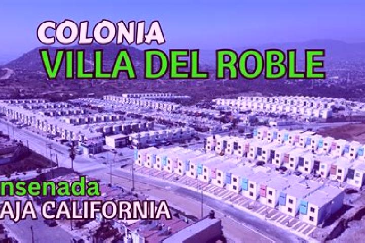 Quinn, 26 — Escort in Colinas del Roble, Mexico