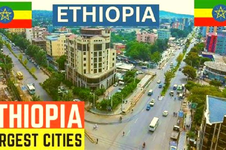 Quinn, 26 — Escort in Intich o, Ethiopia