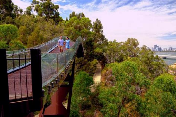 Quinn, 26 — Escort in Kings Park, Australia