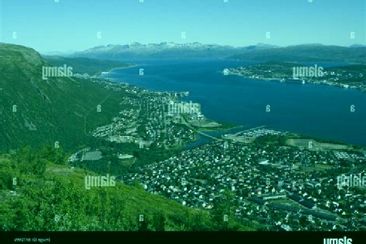 Quinn, 26 — Escort in Storsteinnes, Norway