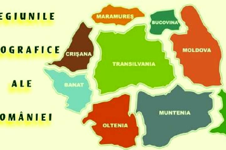 Quinn, 26 — Escort in Tarlungeni, Romania