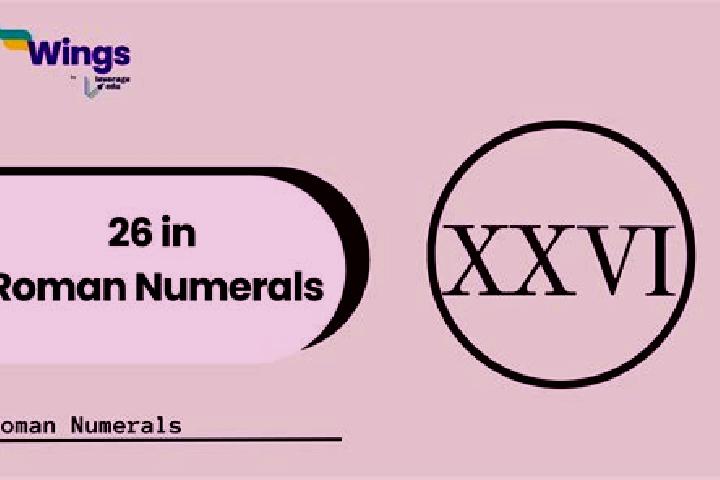Quinn, 26 — Escort in Xunjian, China