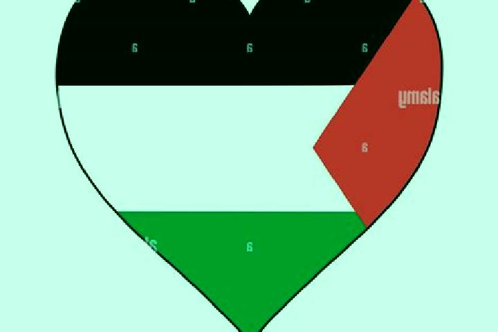 Quinn, 27 — Escort in Ar Ramadin, Palestine