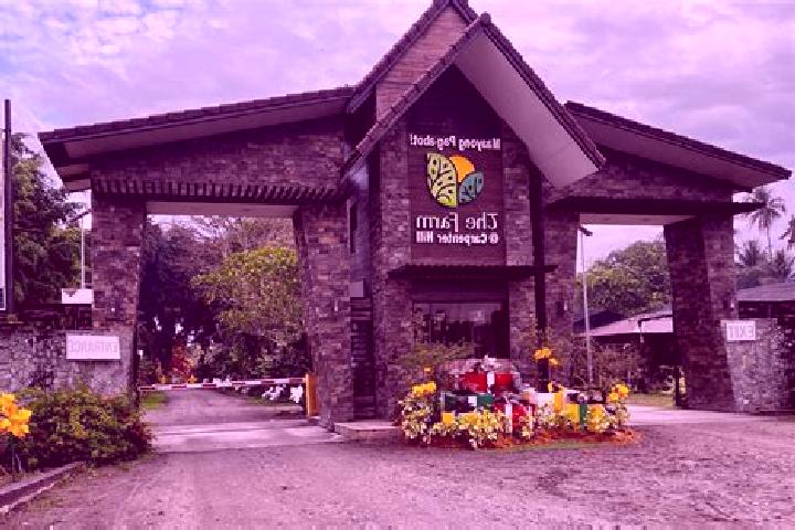 Quinn, 27 — Escort in Carpenter Hill, Philippines