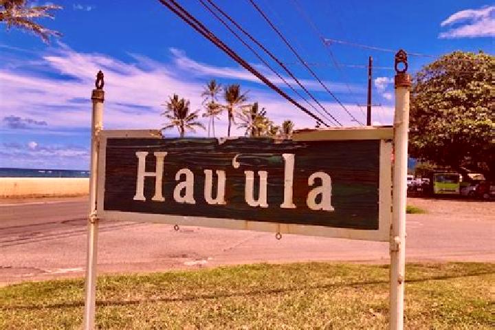 Quinn, 27 — Escort in Hau ula, United States