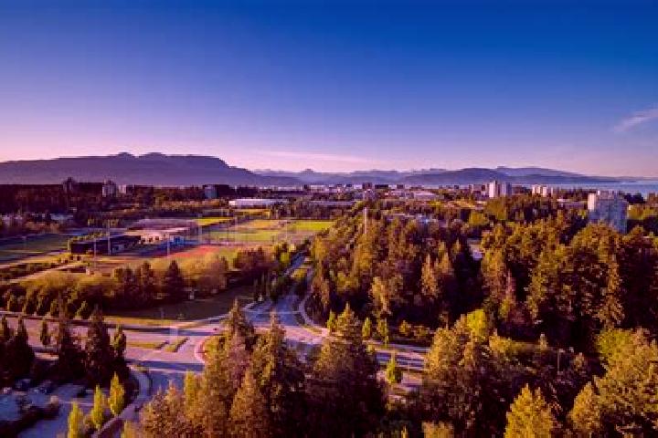 Quinn, 27 — Escort in University Endowment Lands, Canada