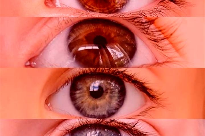 Quinn, 28, a chestnut dark-eyed mixed companion based in Semiring. Offering Travel Companion, CIM, GFE, BDSM, OWO. Available for incall and outcall, day and ...