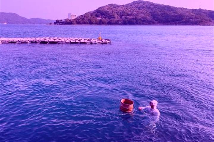 Quinn, 28 — Escort in Shima, Japan