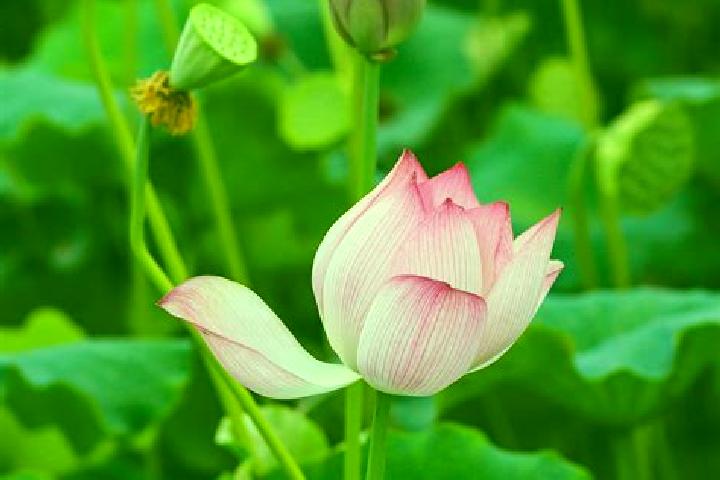 Quinn, 28 — Escort in Wufu, China