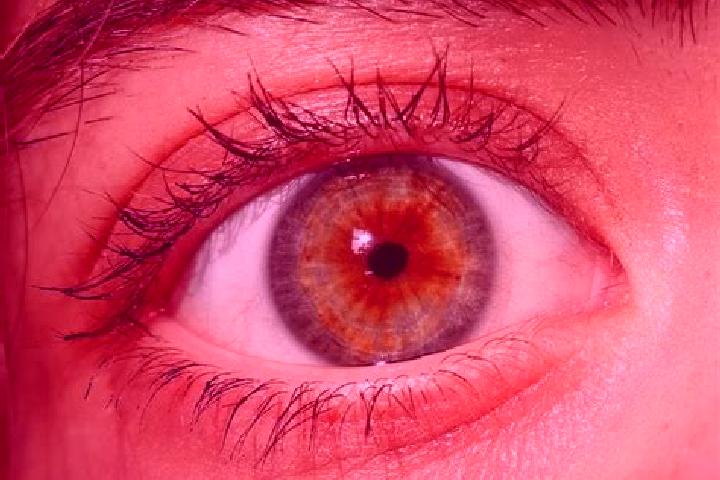 Quinn, 29, a red hazel-eyed european companion based in Spiekeroog. Offering Travel Companion, Tantra, GFE, Prostate Massage. Available for incall and outcal...