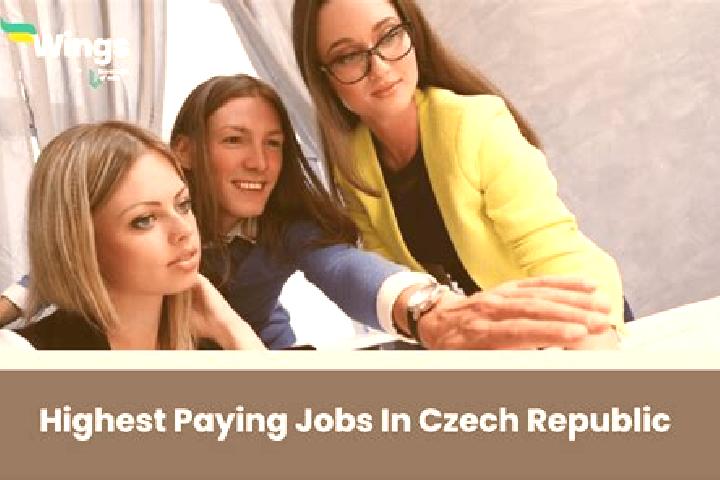 Quinn, 29 — Escort in Knezeves, Czech Republic