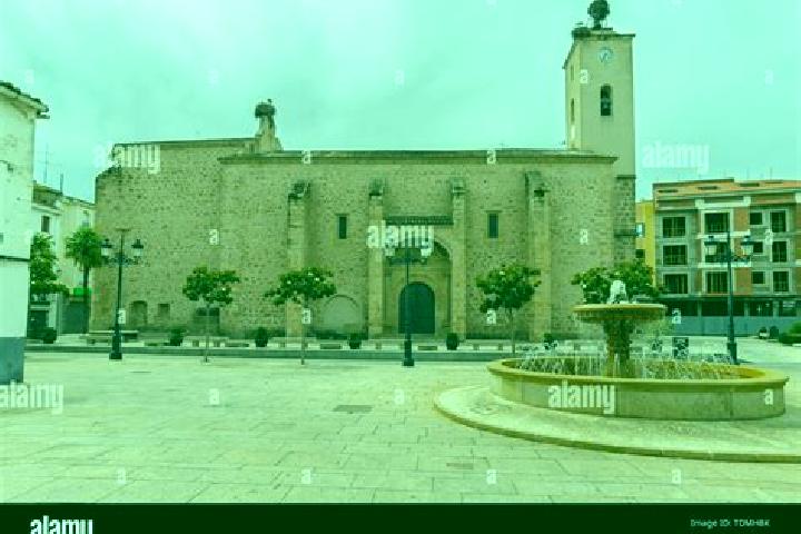 Quinn, 29 — Escort in La Mata, Spain