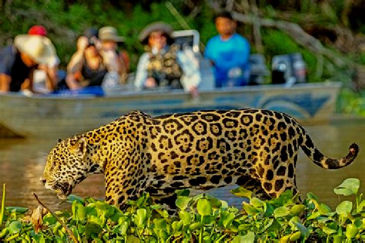 Quinn, 29 — Escort in Pantanal, Brazil