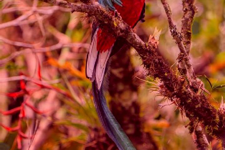 Quinn, 29 — Escort in Quetzal Edzna, Mexico