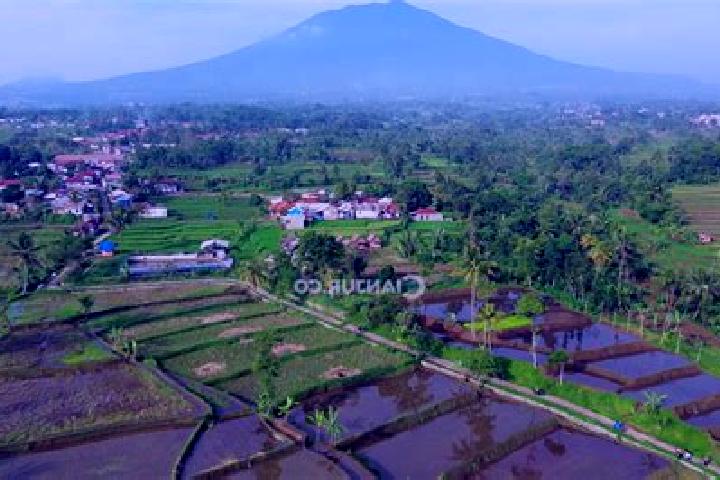 Quinn, 29 — Escort in Sukajadi, Indonesia