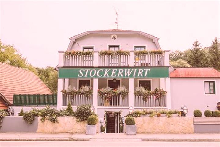 Quinn, 29 — Escort in Sulz im Wienerwald, Austria