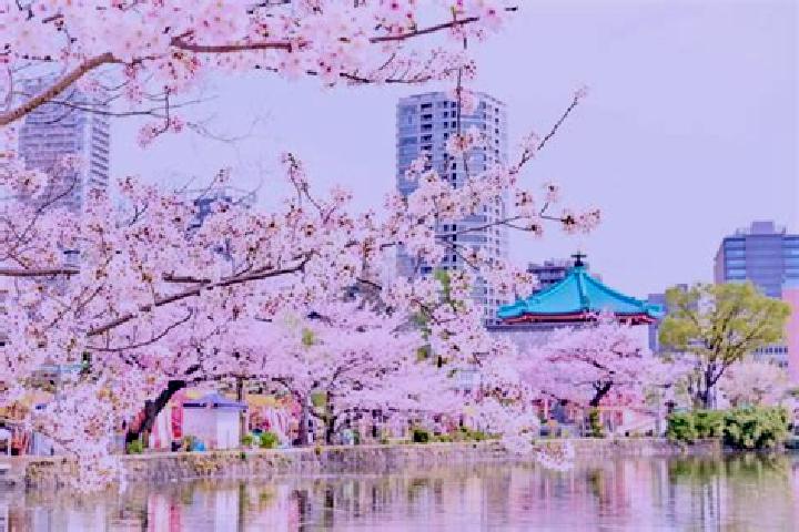 Quinn, 29 — Escort in Ueno-ebisumachi, Japan