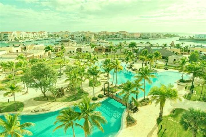 Quinn, 30, a black grey-eyed mixed companion based in Punta Cana. Offering Domination, Dinner Date, Striptease. Available for incall and outcall, day and eve...